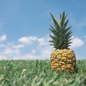 ananas